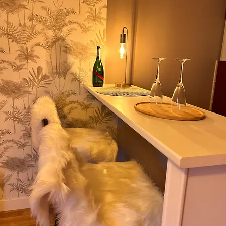 Le Flodoard Chic Apartment Epernay