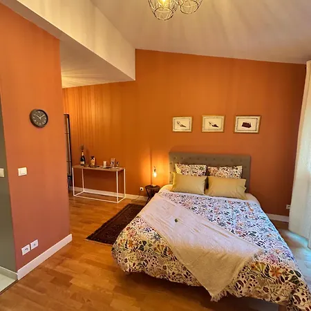 Apartment Le Flodoard Chic *